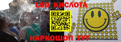 винт Шелехов