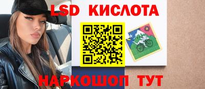 винт Шелехов