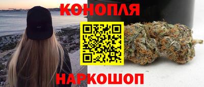 винт Шелехов