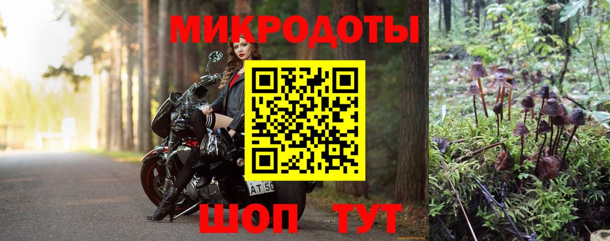 Псилоцибиновые грибы Psilocybine cubensis Южно-Сахалинск